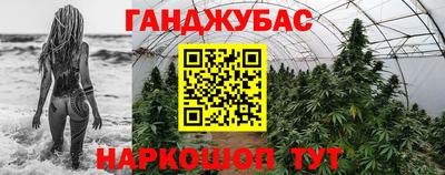 сатива Шебекино