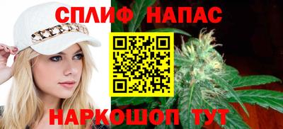 сатива Шебекино
